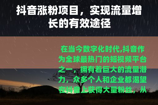 抖音涨粉项目，实现流量增长的有效途径