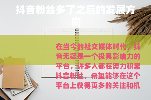 抖音粉丝多了之后的发展方向