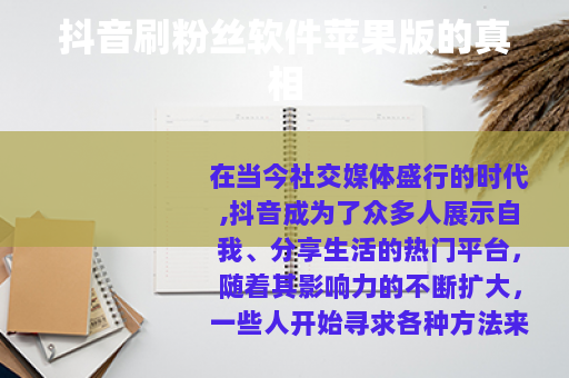 抖音刷粉丝软件苹果版的真相