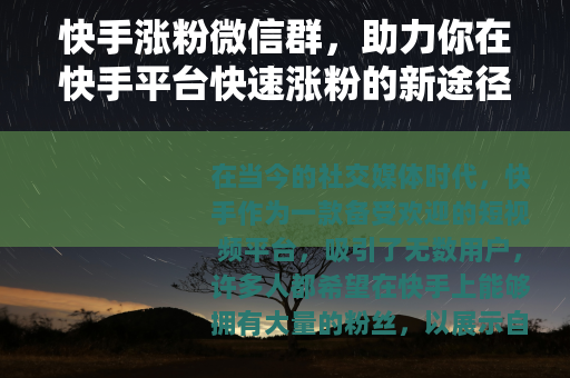快手涨粉微信群，助力你在快手平台快速涨粉的新途径