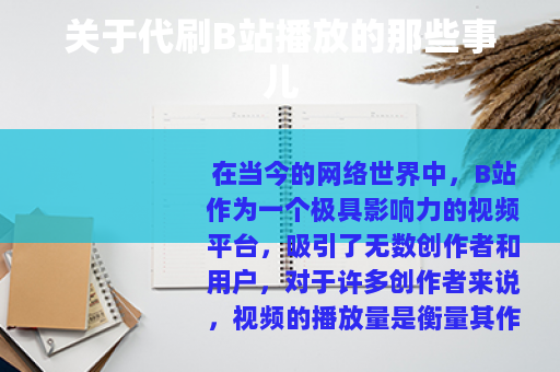关于代刷B站播放的那些事儿