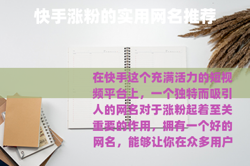 快手涨粉的实用网名推荐