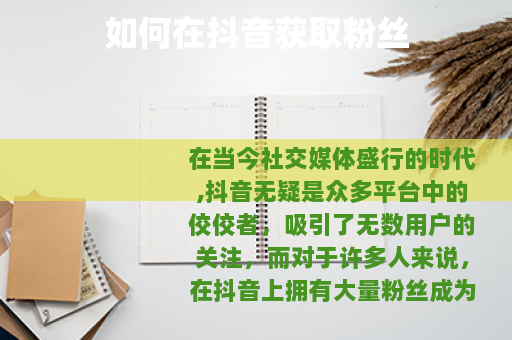 如何在抖音获取粉丝