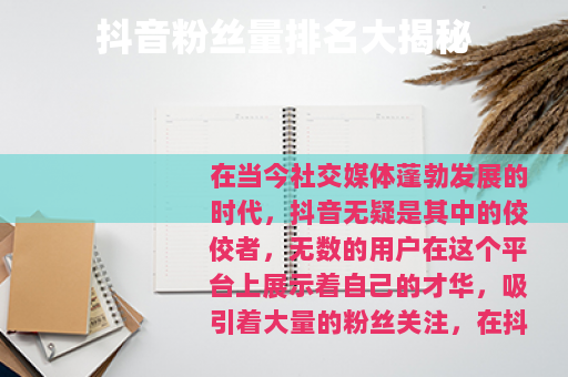 抖音粉丝量排名大揭秘