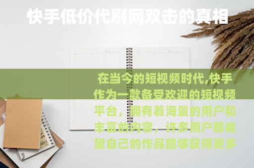 快手低价代刷网双击的真相