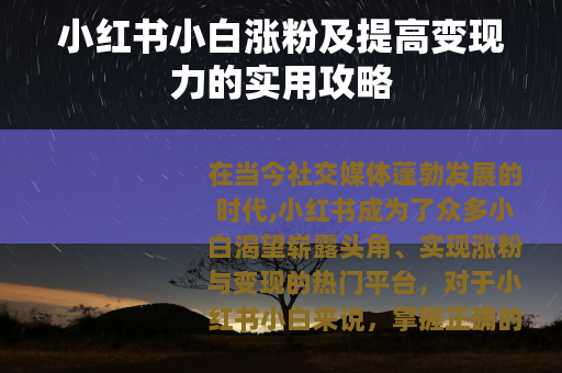 小红书小白涨粉及提高变现力的实用攻略
