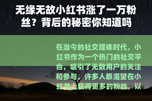 无缘无故小红书涨了一万粉丝？背后的秘密你知道吗