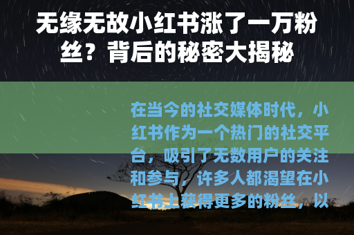 无缘无故小红书涨了一万粉丝？背后的秘密大揭秘