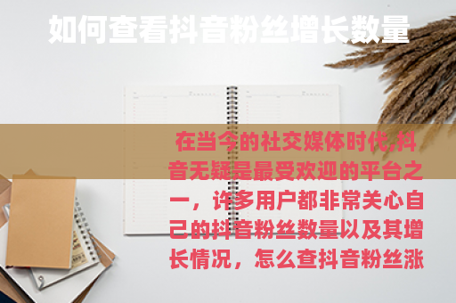 如何查看抖音粉丝增长数量