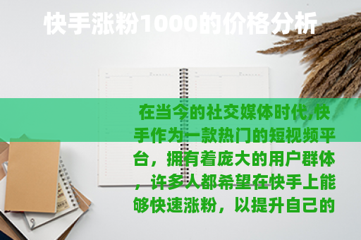 快手涨粉1000的价格分析