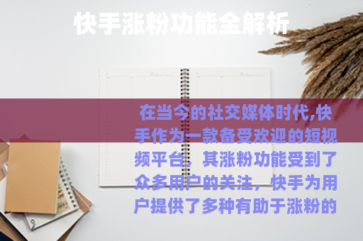 快手涨粉功能全解析