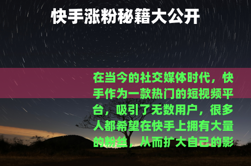 快手涨粉秘籍大公开