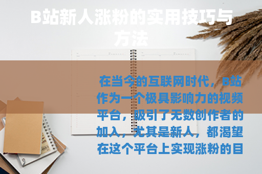 B站新人涨粉的实用技巧与方法