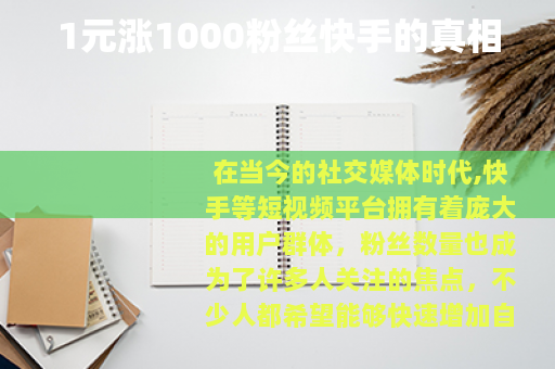 1元涨1000粉丝快手的真相