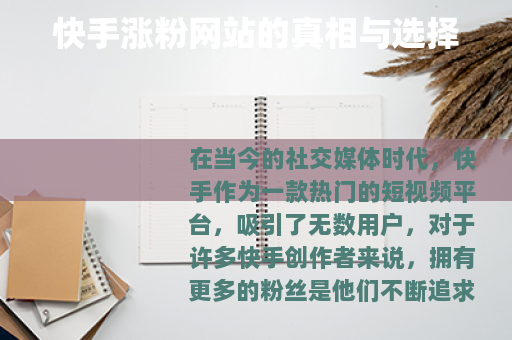 快手涨粉网站的真相与选择