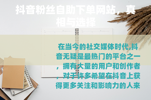 抖音粉丝自助下单网站，真相与选择