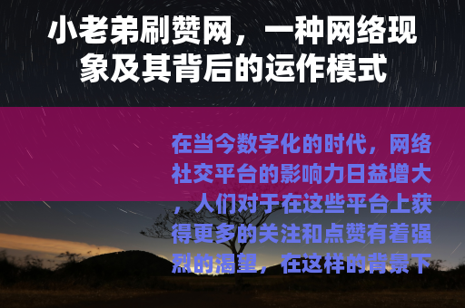 小老弟刷赞网，一种网络现象及其背后的运作模式