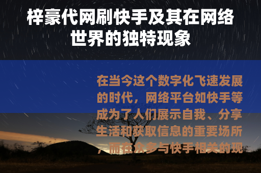 梓豪代网刷快手及其在网络世界的独特现象