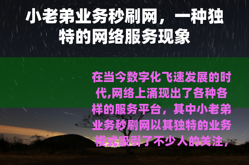 小老弟业务秒刷网，一种独特的网络服务现象