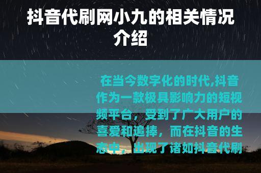 抖音代刷网小九的相关情况介绍