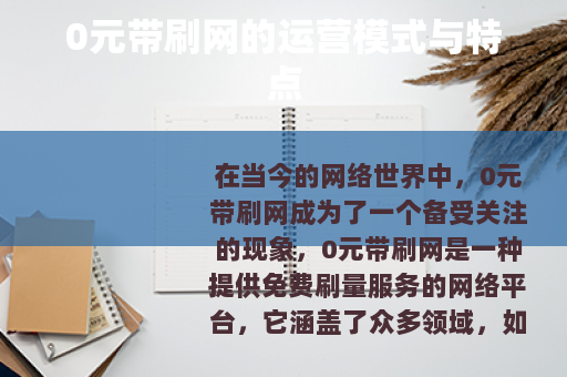 0元带刷网的运营模式与特点