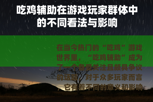 吃鸡辅助在游戏玩家群体中的不同看法与影响