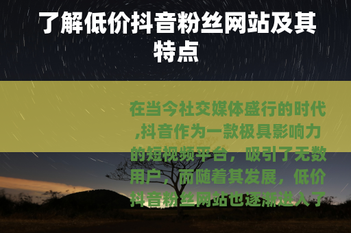 了解低价抖音粉丝网站及其特点