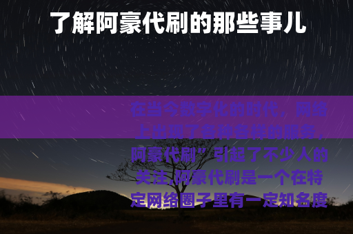 了解阿豪代刷的那些事儿