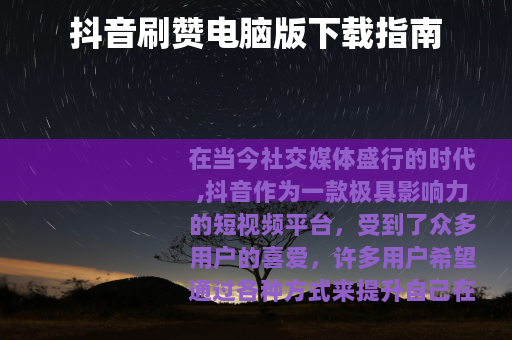 抖音刷赞电脑版下载指南