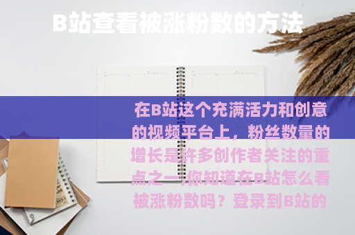 B站查看被涨粉数的方法