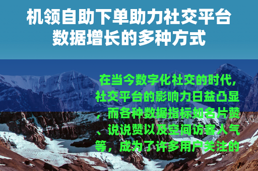 机领自助下单助力社交平台数据增长的多种方式