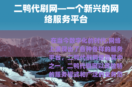 二鸭代刷网—一个新兴的网络服务平台