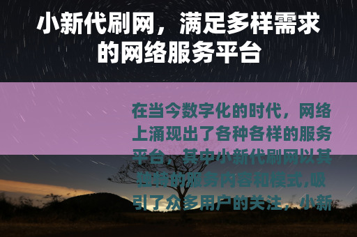小新代刷网，满足多样需求的网络服务平台