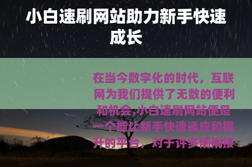 小白速刷网站助力新手快速成长
