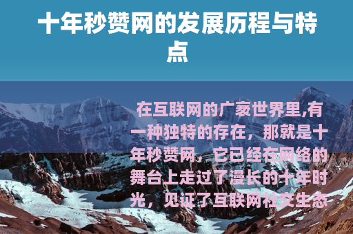 十年秒赞网的发展历程与特点