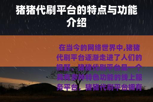 猪猪代刷平台的特点与功能介绍