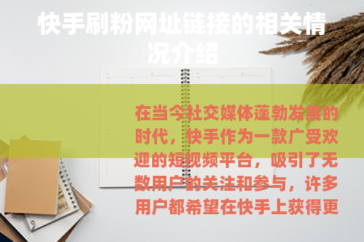 快手刷粉网址链接的相关情况介绍