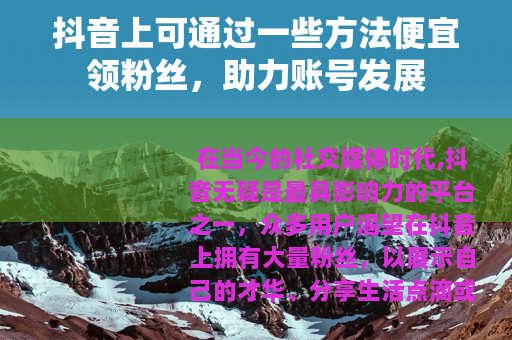 抖音上可通过一些方法便宜领粉丝，助力账号发展