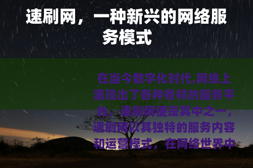 速刷网，一种新兴的网络服务模式