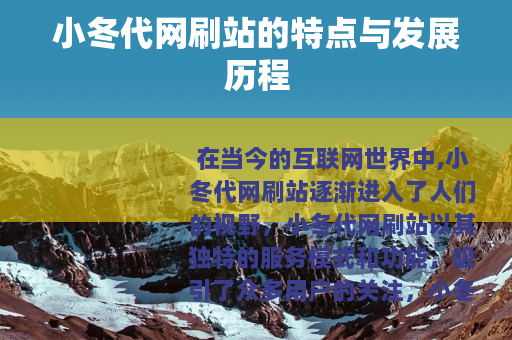 小冬代网刷站的特点与发展历程