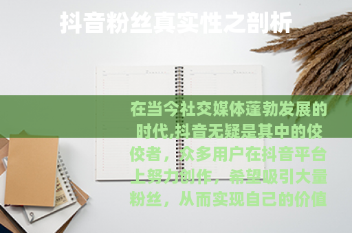 抖音粉丝真实性之剖析