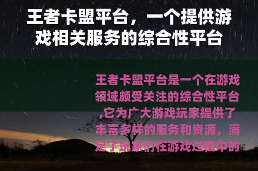 王者卡盟平台，一个提供游戏相关服务的综合性平台