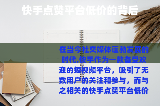 快手点赞平台低价的背后