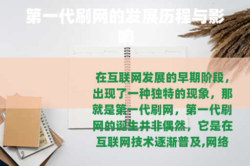 第一代刷网的发展历程与影响
