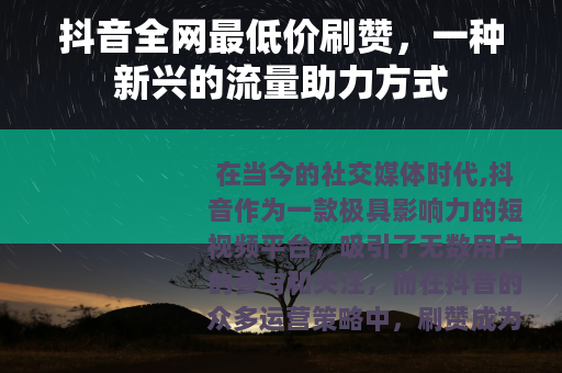 抖音全网最低价刷赞，一种新兴的流量助力方式