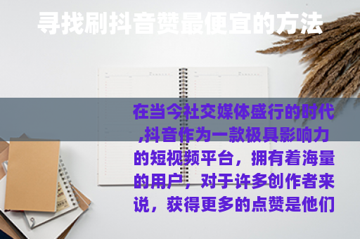 寻找刷抖音赞最便宜的方法