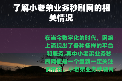 了解小老弟业务秒刷网的相关情况