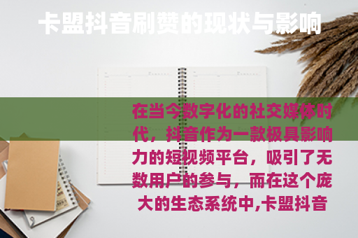 卡盟抖音刷赞的现状与影响