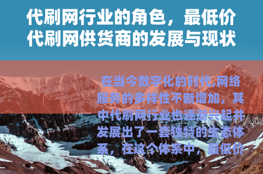 代刷网行业的角色，最低价代刷网供货商的发展与现状