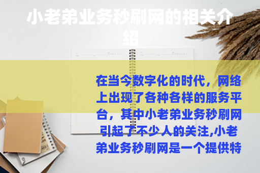 小老弟业务秒刷网的相关介绍